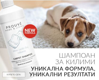 Prouve Шампоан за килими 500мл