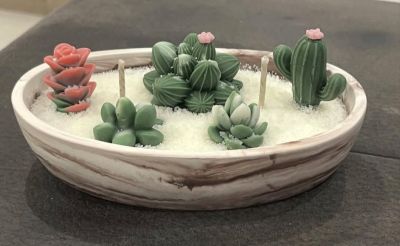 Ръчно изработена соева свещ „Кактус градина“ – декоративна и ароматна